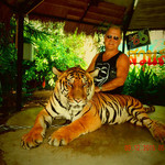 Allan, 66 (31 , 0 )