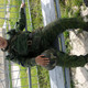 alexandr, 44 (1 , 0 )