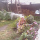 Nadezda, 62