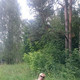 Кристина, 41