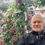 Уильям Ник, 70