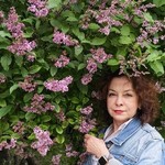 Аля, 62