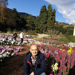 Алекс Иванов, 64