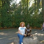 , 53