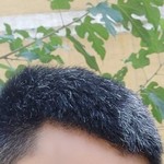 Axror, 33 (1 , 0 )