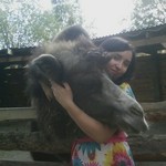 Юлия Соколова, 36